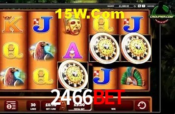 Security Systems 2466Bet